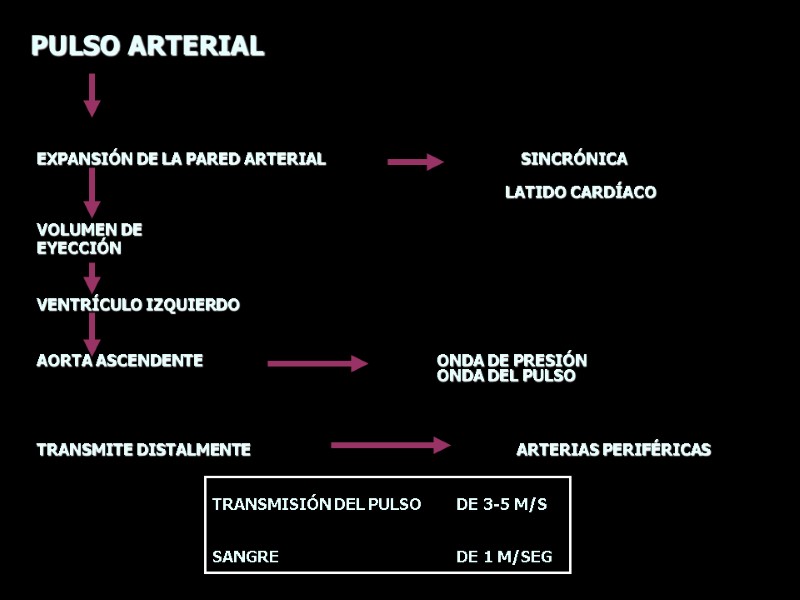 EXPANSIÓN DE LA PARED ARTERIAL    SINCRÓNICA     